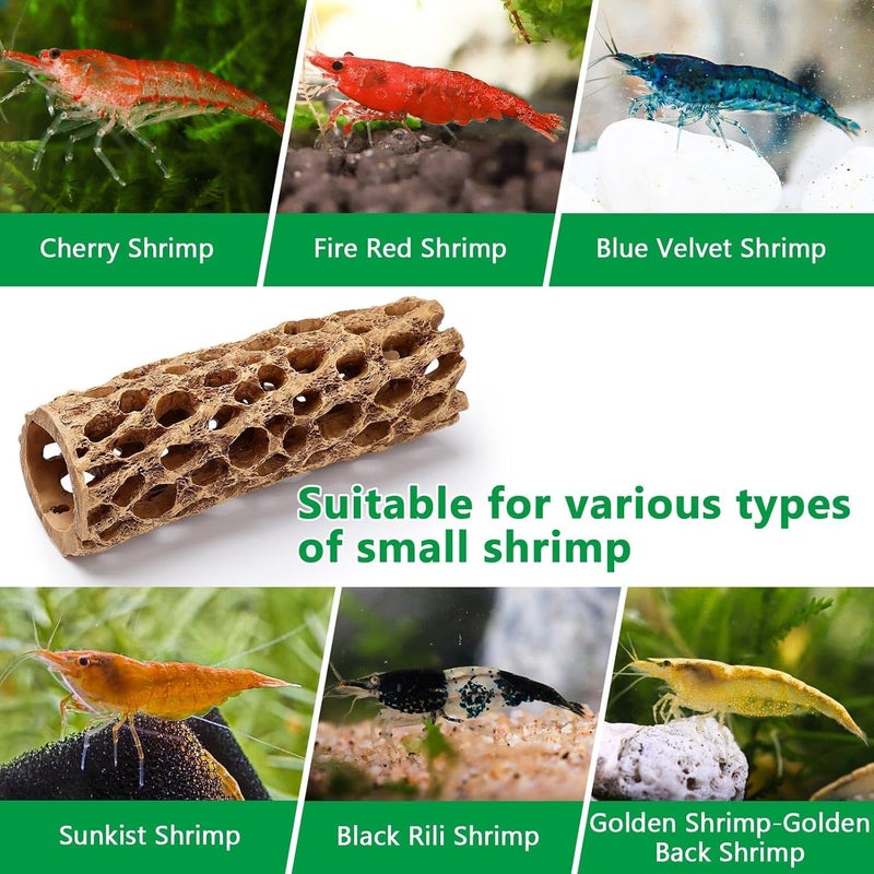 TERRIFI 6" Resin Cholla Wood Aquarium Décor - Realistic Shrimp Hideout & Climbing Toy for Fish Tank, Durable Natural Look Aquatic Terrarium Ornament, Small Shrimp Shelter, 2pcs - Image 4