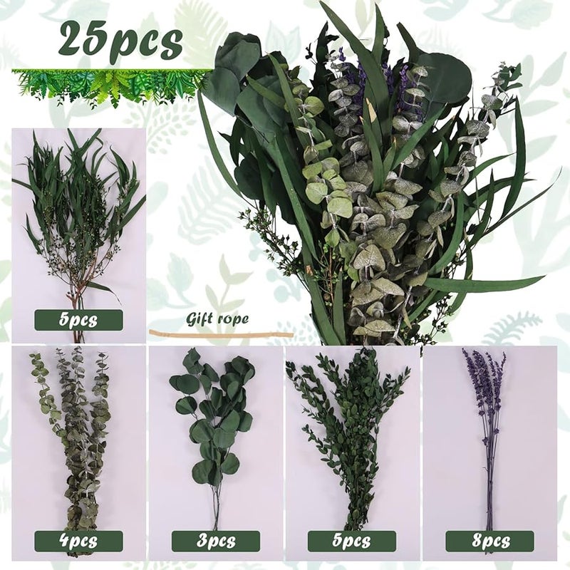 25 قطعة من سيقان الكافور المجففة باقة الخزامى أوراق محفوظة طبيعية زينة معلقة للاستحمام الزفاف - Image 4