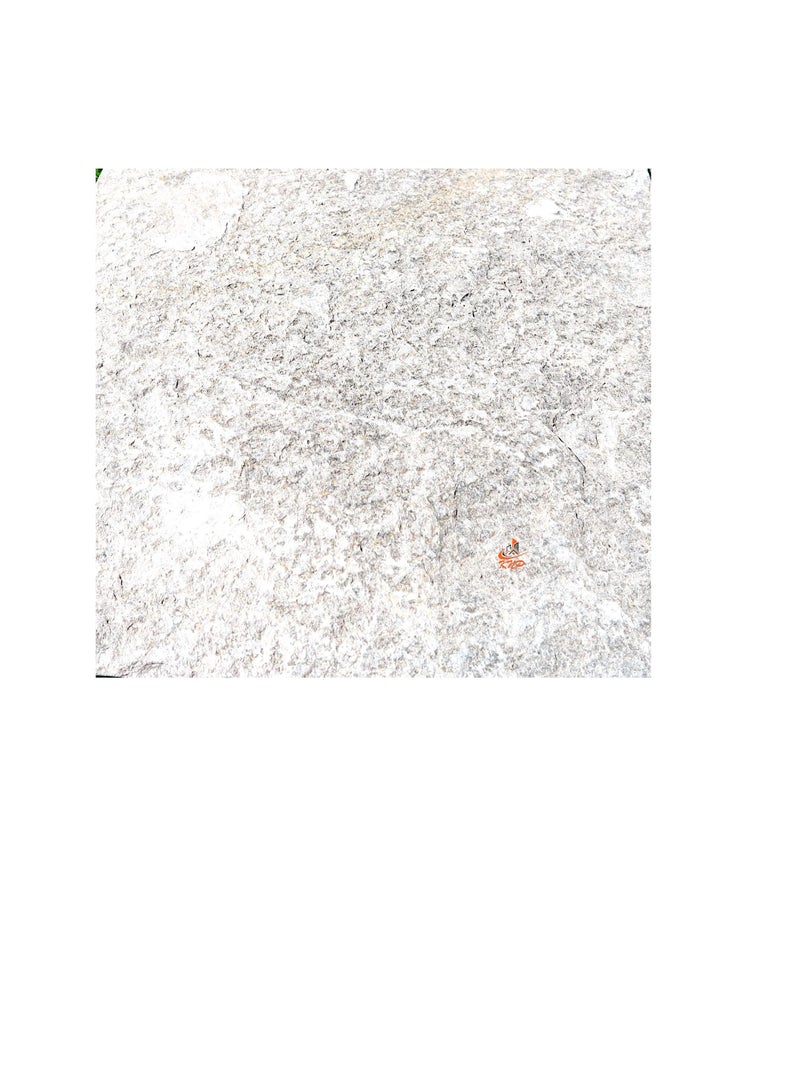 KNP Garden stepping stones  Square 30x30cm Greenish Gray set of 10 stones - Image 3