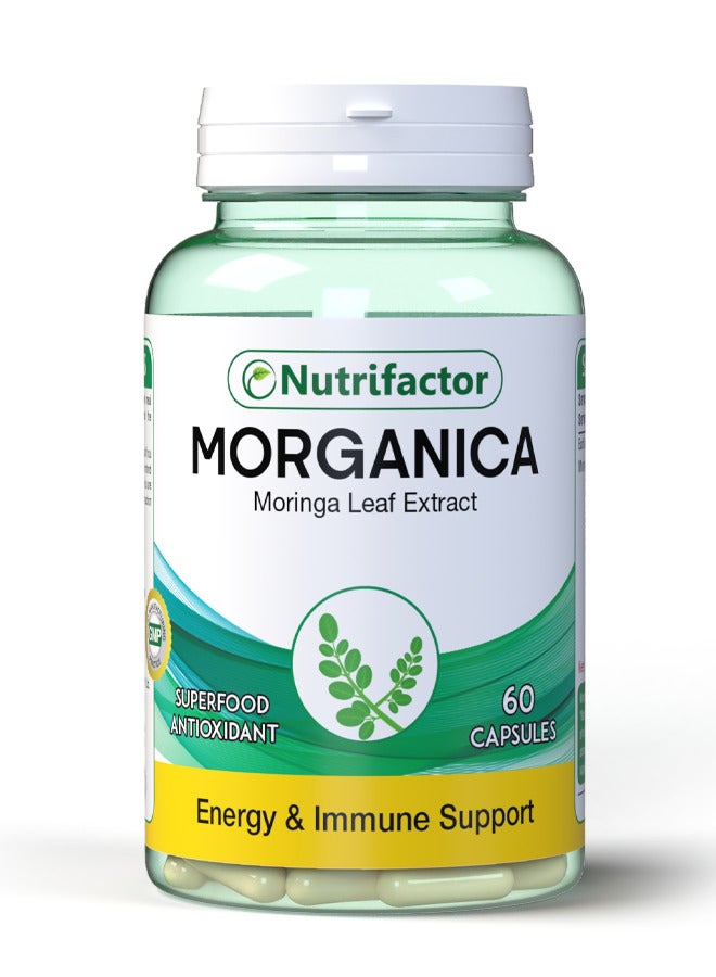 نيوتريفاكتور كبسولات مورينجا أوليفيرا مكمل غذائي فائق مضاد للأكسدة الطاقة والتمثيل الغذائي ودعم المناعة - 60 كبسولة - Image 1