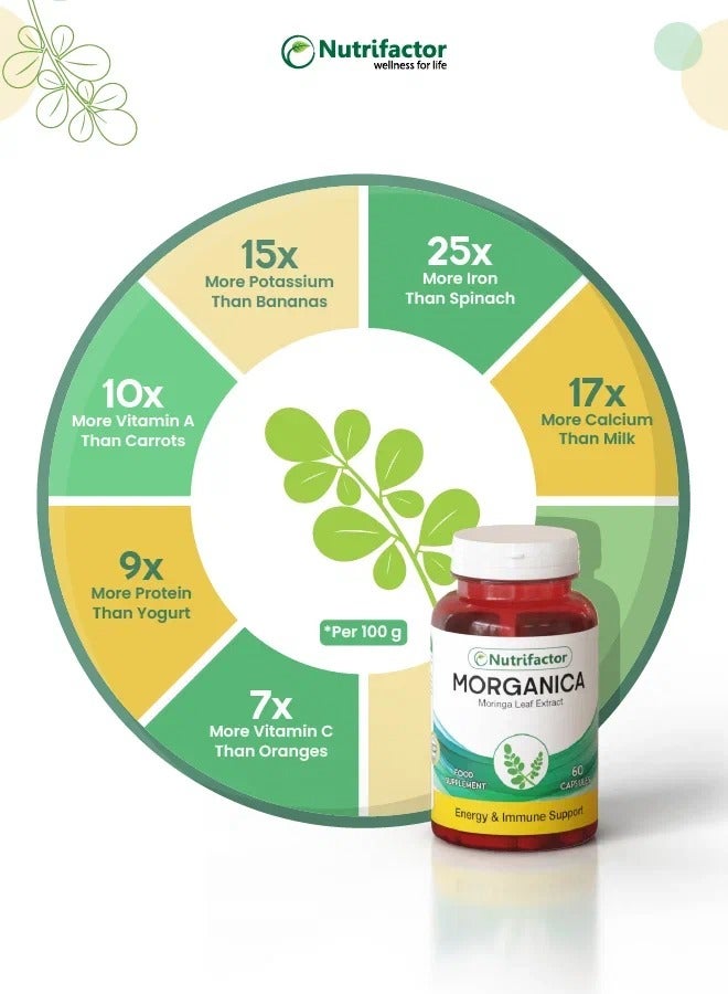 نيوتريفاكتور كبسولات مورينجا أوليفيرا مكمل غذائي فائق مضاد للأكسدة الطاقة والتمثيل الغذائي ودعم المناعة - 60 كبسولة - Image 4