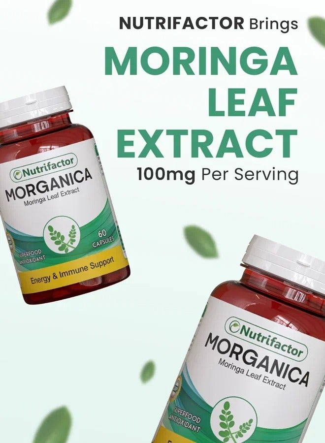 نيوتريفاكتور كبسولات مورينجا أوليفيرا مكمل غذائي فائق مضاد للأكسدة الطاقة والتمثيل الغذائي ودعم المناعة - 60 كبسولة - Image 5