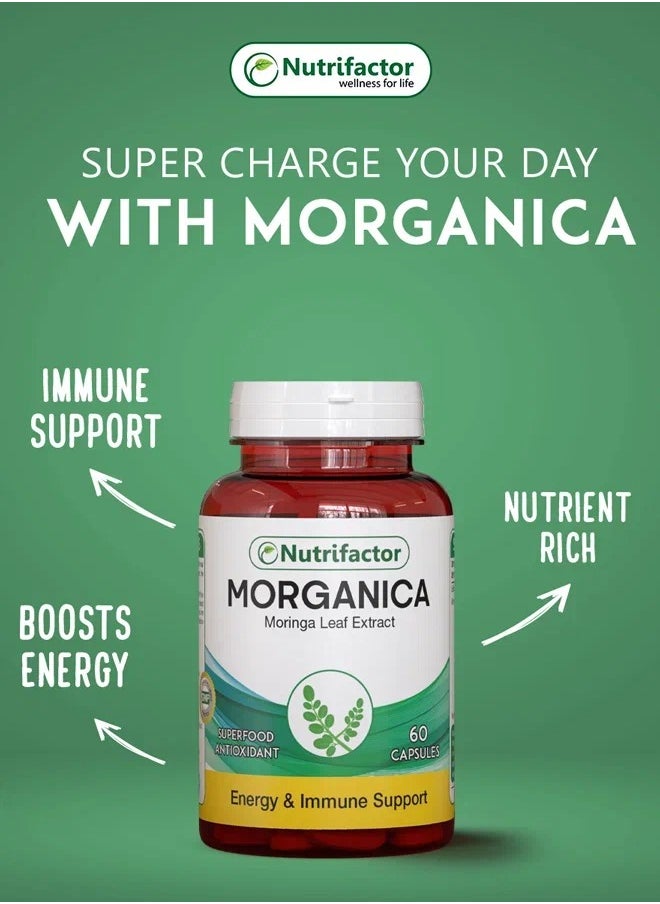 Nutrifactor Moringa Oleifera Capsules Miracle Antioxidant Superfood Supplement for Energy, Metabolism, & Immune Support - 60 Capsules  - Image 2