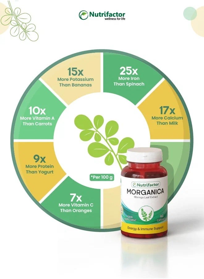 Nutrifactor Moringa Oleifera Capsules Miracle Antioxidant Superfood Supplement for Energy, Metabolism, & Immune Support - 60 Capsules  - Image 4