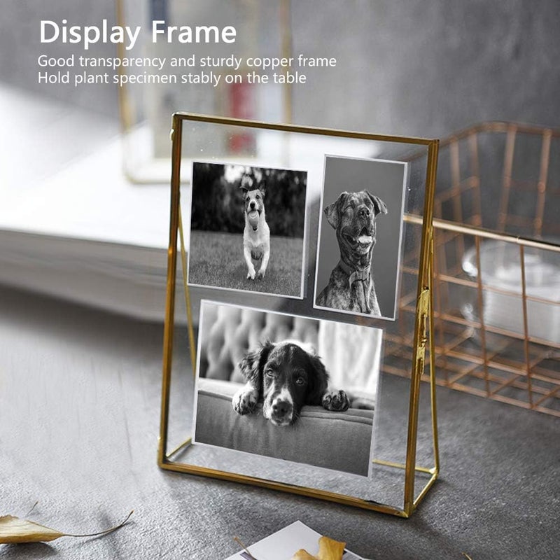 Multi option design 5.5x6.3 Inch Pressed Flower Frame, Clear Glass Floating Frame, Glass Plant Specimen Holder Display Frame with Bracket for Artwork Display Wall Decor Ready post purchase fulfill Not sold elsewhere Standard fit All user affordable trusted quality Indoor outdoor use Limited time offer Diverse requirement fit Fresh stock in Multi-demand compliant quality Tried & trusted pick All preference matching build Solid anti-deform Multi-use upgraded craftsmanship Worldwide simple practical design Rare in stock Practical design Brand new goods batch Gulf climate tested upgraded quality Stock running out quickly Global assemble options Single & bulk use compatible Multi-market matching options Home & professional compatible Easy hand assemble compatible - Image 3