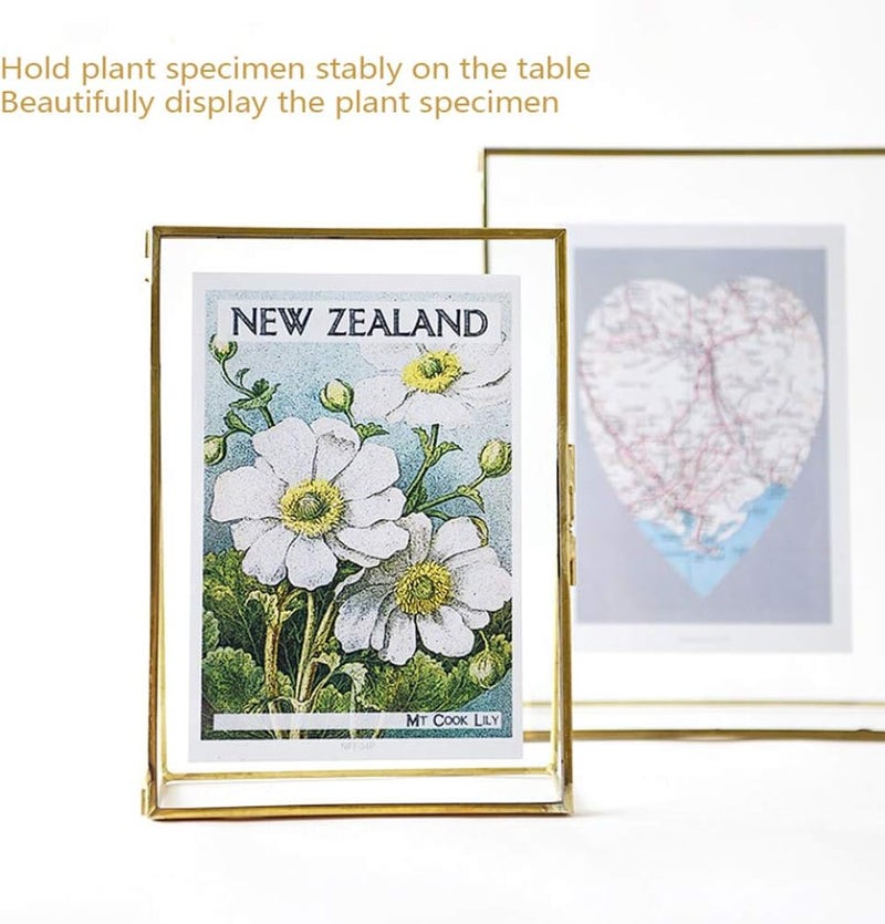 Multi option design 5.5x6.3 Inch Pressed Flower Frame, Clear Glass Floating Frame, Glass Plant Specimen Holder Display Frame with Bracket for Artwork Display Wall Decor Ready post purchase fulfill Not sold elsewhere Standard fit All user affordable trusted quality Indoor outdoor use Limited time offer Diverse requirement fit Fresh stock in Multi-demand compliant quality Tried & trusted pick All preference matching build Solid anti-deform Multi-use upgraded craftsmanship Worldwide simple practical design Rare in stock Practical design Brand new goods batch Gulf climate tested upgraded quality Stock running out quickly Global assemble options Single & bulk use compatible Multi-market matching options Home & professional compatible Easy hand assemble compatible - Image 2