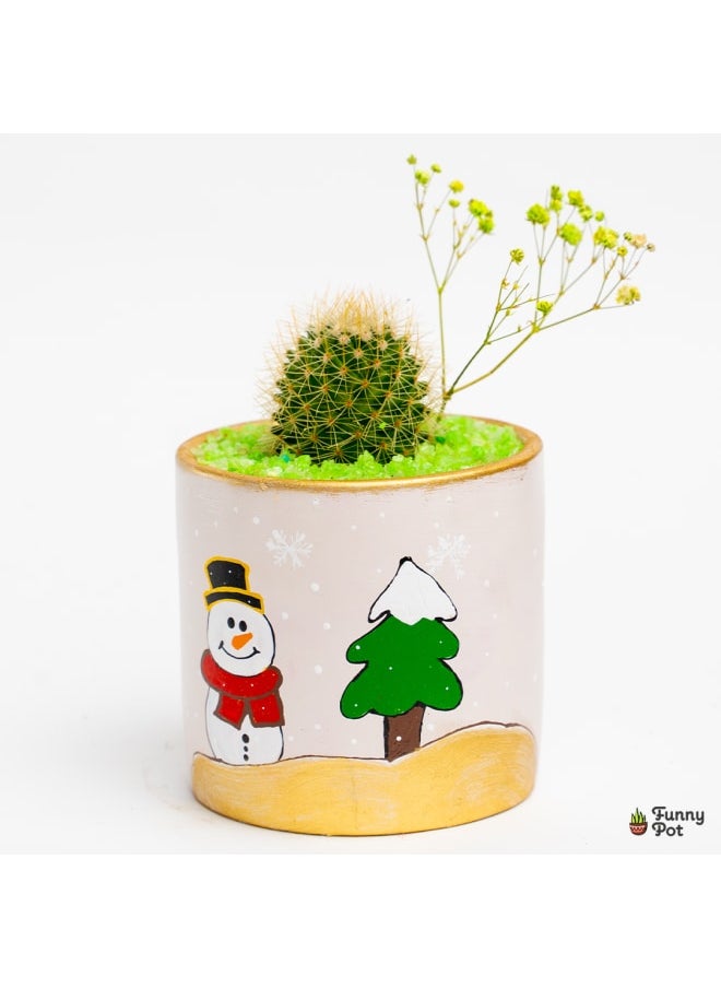 فاني بوت بوت صبار طبيعي 