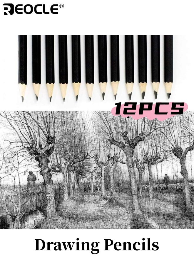ريوكل 12 قطعة أقلام الرسم الجرافيت رسم أقلام الرصاص الفنان المهنية الرسم كيت مع 2H إلى 8B الجرافيت الدرجات مثالية للأطفال والكبار والفنانين الطلاب والمبتدئين والمهنيين - Image 1