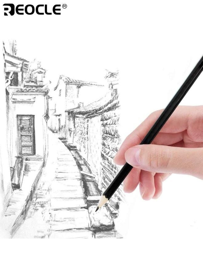 ريوكل 12 قطعة أقلام الرسم الجرافيت رسم أقلام الرصاص الفنان المهنية الرسم كيت مع 2H إلى 8B الجرافيت الدرجات مثالية للأطفال والكبار والفنانين الطلاب والمبتدئين والمهنيين - Image 5