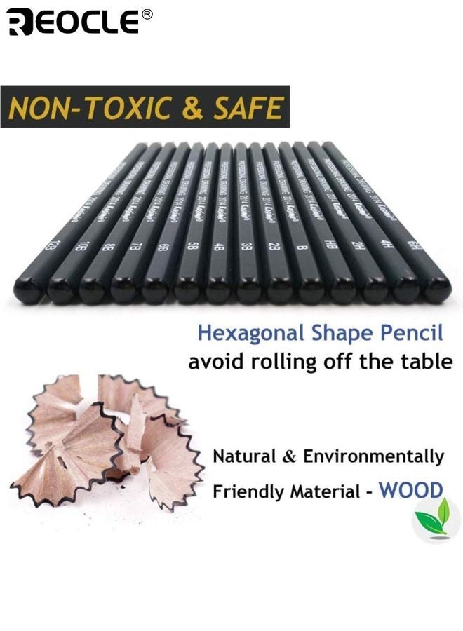ريوكل 12 قطعة أقلام الرسم الجرافيت رسم أقلام الرصاص الفنان المهنية الرسم كيت مع 2H إلى 8B الجرافيت الدرجات مثالية للأطفال والكبار والفنانين الطلاب والمبتدئين والمهنيين - Image 2