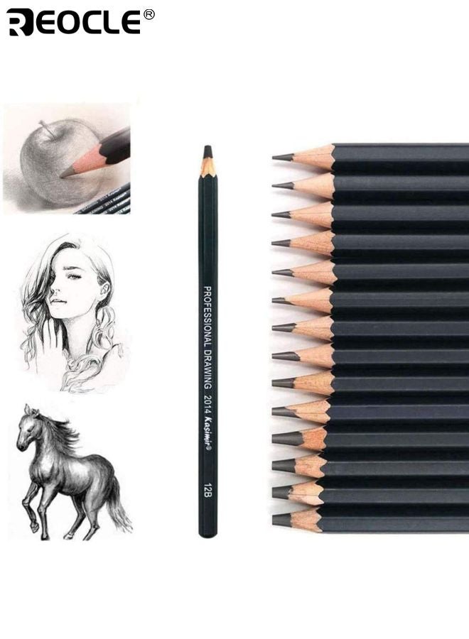 ريوكل 12 قطعة أقلام الرسم الجرافيت رسم أقلام الرصاص الفنان المهنية الرسم كيت مع 2H إلى 8B الجرافيت الدرجات مثالية للأطفال والكبار والفنانين الطلاب والمبتدئين والمهنيين - Image 4