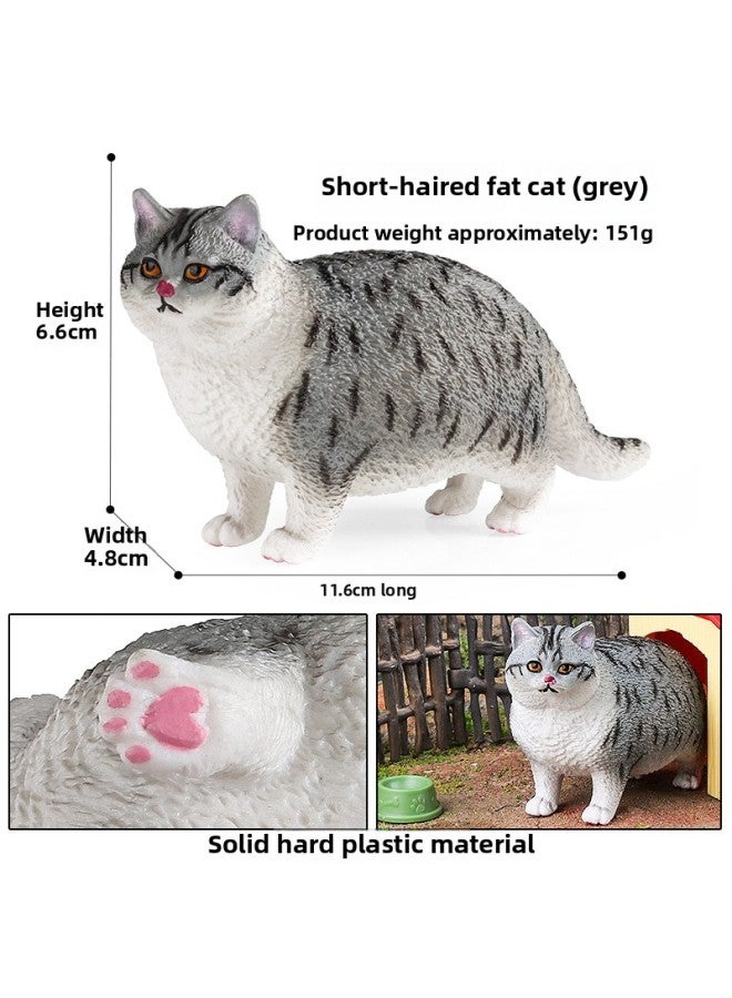 Children's Simulation Short-haired Fat Cat Model Cognitive Cat Accessories Domestic Cat Birthday Gift English Short Tabby Doll Ornaments-Color:M-3134 Short Hair Fat Cat (gray)  - Image 1