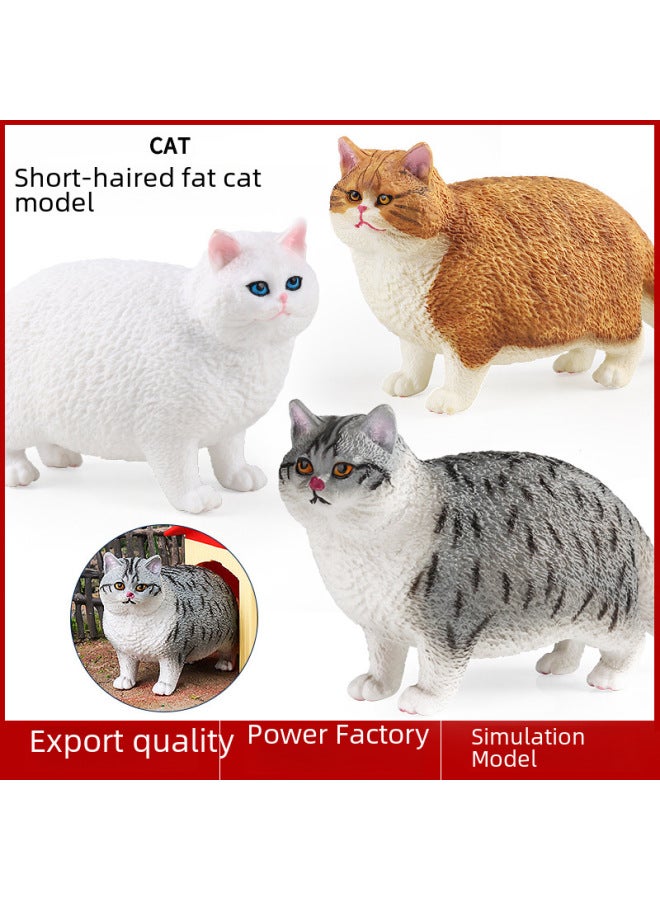 Children's Simulation Short-haired Fat Cat Model Cognitive Cat Accessories Domestic Cat Birthday Gift English Short Tabby Doll Ornaments-Color:M-3134 Short Hair Fat Cat (gray)  - Image 2