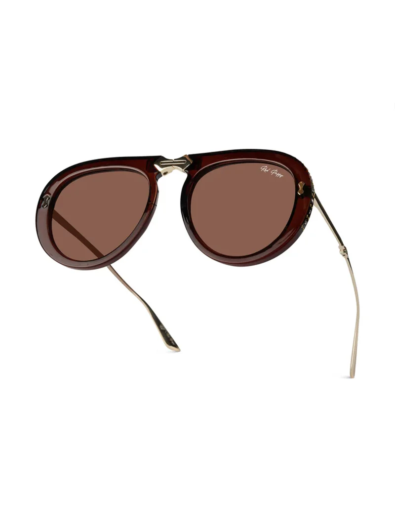 Woggles  Red Pappy Crystara Brown Aviator Sunglasses  | Best Price UAE