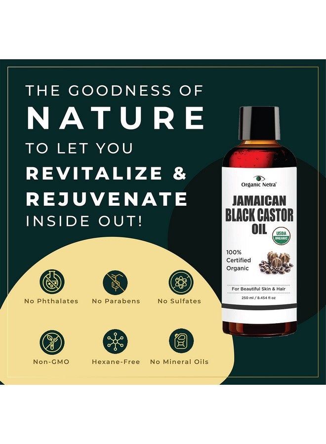 Organic Netra Cold Pressed Jamaican Black Castor Oil For Hair Growth | For Healthy, Thick And Black Hair | Reduces Acne Marks And Fine Lines | For All Hair And Skin Types - 250Ml - Image 3