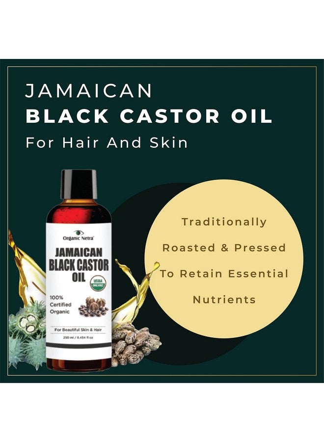 Organic Netra Cold Pressed Jamaican Black Castor Oil For Hair Growth | For Healthy, Thick And Black Hair | Reduces Acne Marks And Fine Lines | For All Hair And Skin Types - 250Ml - Image 2