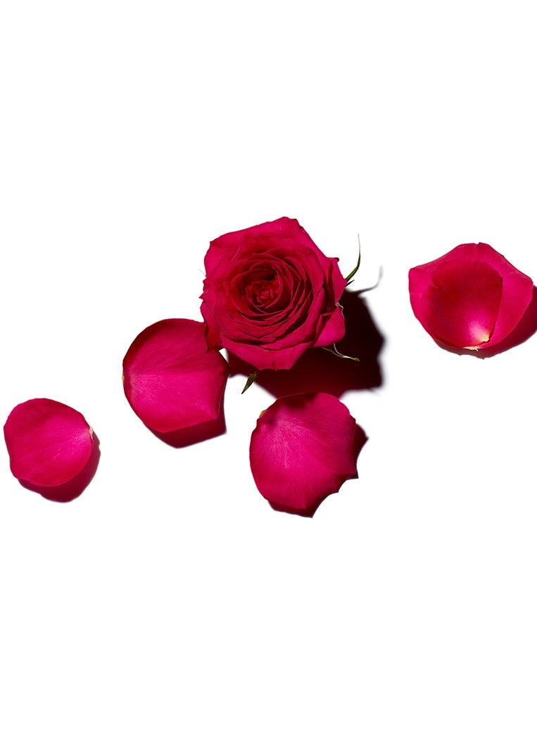 BENAMÕR Benamor Rose Amelie Moisturising Lip Cream with Shea Butter Argan Oil Aloe Vera Natural Ingredients Paraben Free Vegan Hydrating 10ml - Image 3