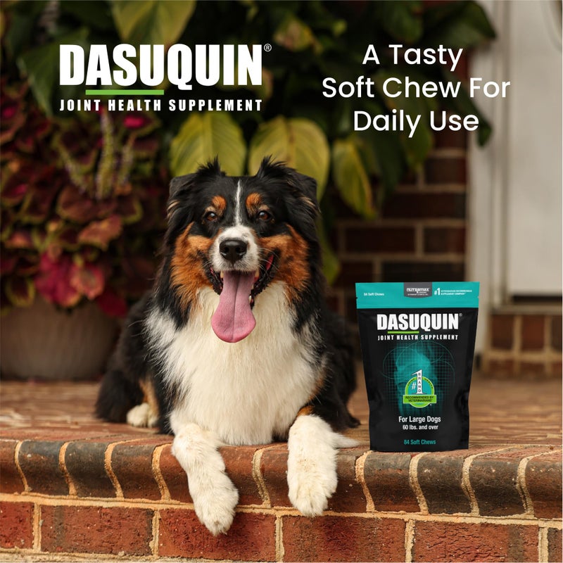 Nutramax Laboratories Nutramax Dasuquin for Large Dogs, Joint Health Supplement, Contains Glucosamine for Dogs, Plus Chondroitin, ASU and More, Supports Healthy Joints, Soft Chews, 84 Count - Image 4