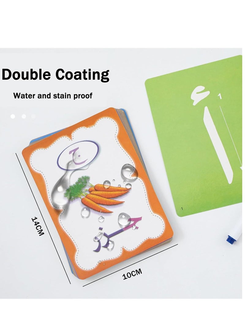 Arabic Alphabet Flashcards 28 PCS Colorful Early Word Education Toys Learning Resource Interactive Set with Marker Pen for Kids Practicing, Writing(Arabic) - Image 2