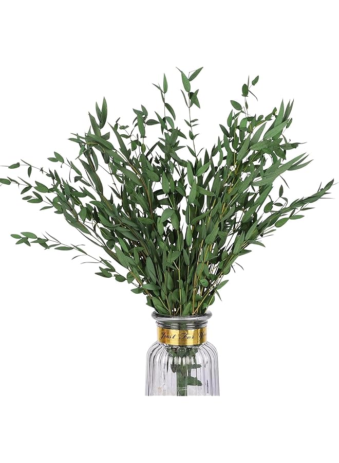 The Bros Real Eucalyptus Stems Greenery Decor 20PCS 16" Dried Willow Eucalyptus Plant Preserved Greenery Stems for Home Vase Filler Wedding Flowers Arrangement Decorations - Image 1