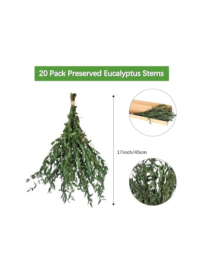The Bros Real Eucalyptus Stems Greenery Decor 20PCS 16" Dried Willow Eucalyptus Plant Preserved Greenery Stems for Home Vase Filler Wedding Flowers Arrangement Decorations - Image 2
