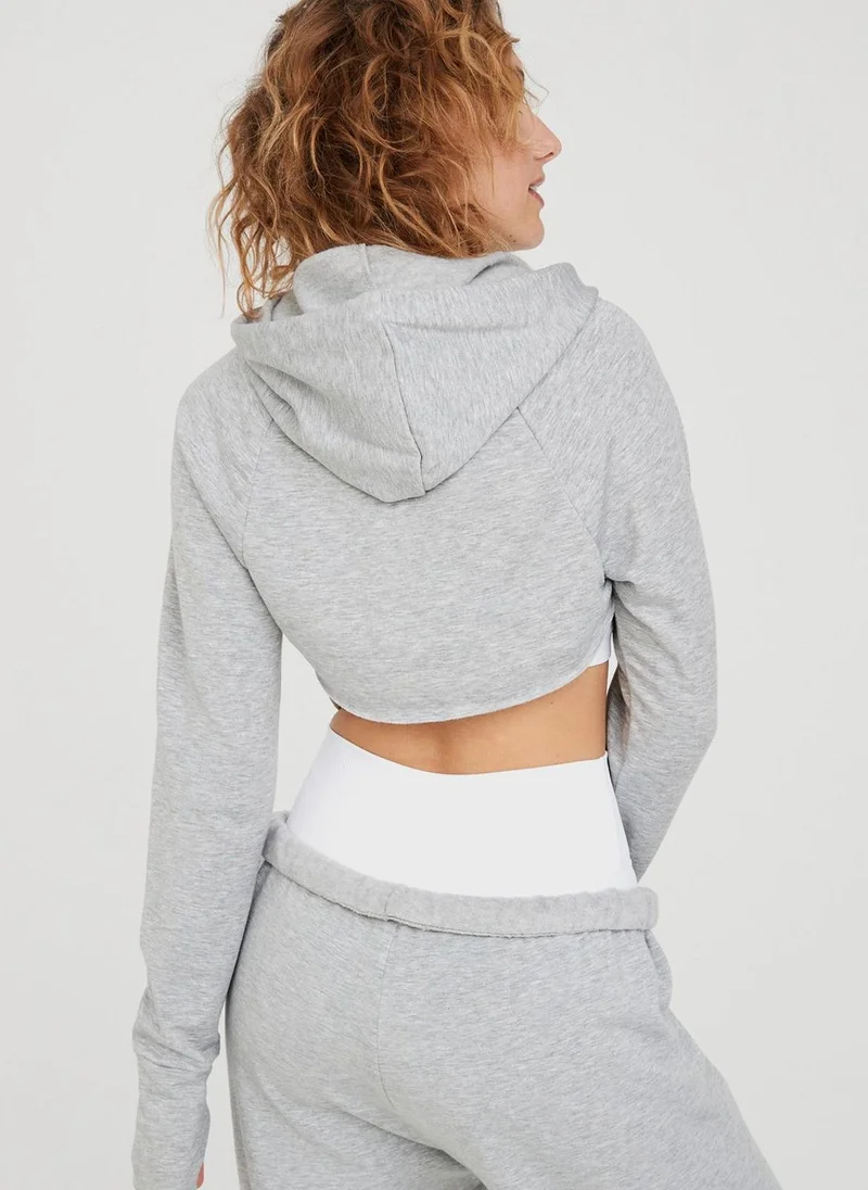 Aerie Crop Drawstring Hoodie