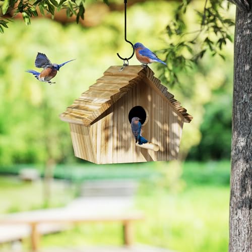 Auslar Bird House Bird Houses for Outside Wooden Birdhouse for Outdoors Hanging Bluebird House for Cardinals Finch Wren Swallow for Wild Bird Viewing - Image 3