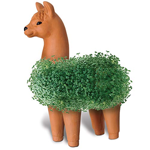 Chia CP439-01 Pet Llama Decorative Pottery Planter, Easy to Do and Fun to Grow - Image 4