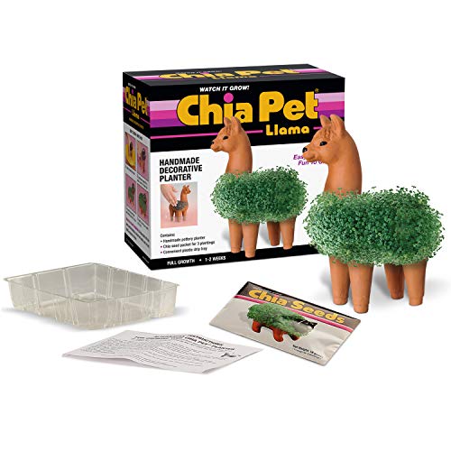 Chia CP439-01 Pet Llama Decorative Pottery Planter, Easy to Do and Fun to Grow - Image 2
