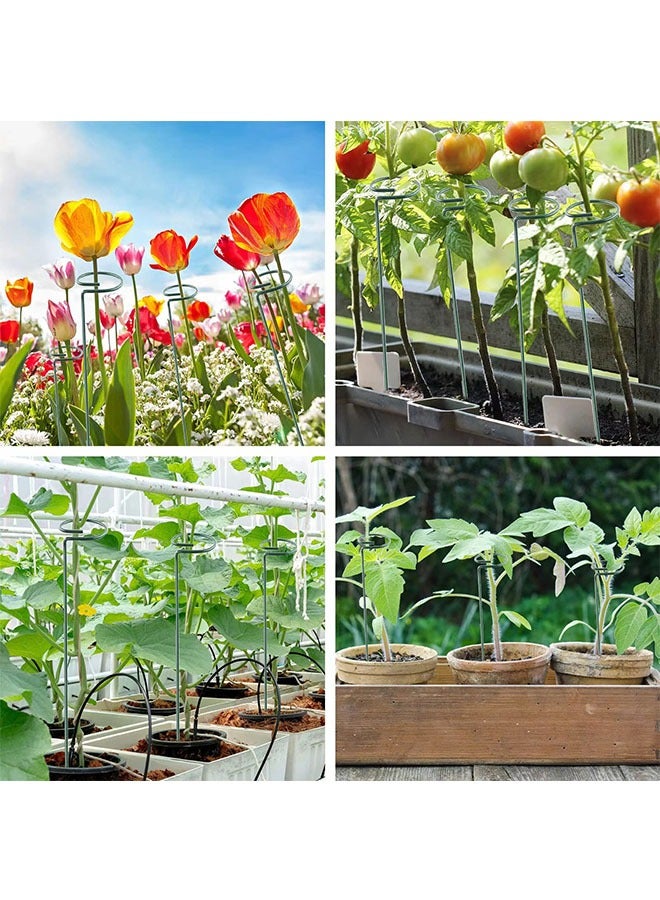 Peachjoy 12 Pack Plant Support Stakes, Metal Single stemmed Flower Support Hoops，Garden Plant Stakes Plant Prop for Amaryllis Orchid Lily Rose Peony Tomatoes Gladiolus, 40CM  - Image 5