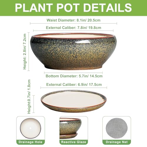 SQOWL Succulent Pots - 8 Inch Ceramic Bonsai Pots, Round Shallow Planter with Drainage Hole and Saucer, Succulent Indoor Planter, Bowl Planters Outdoor, Apartment Decor, Gifts for Women, Brown - Image 2