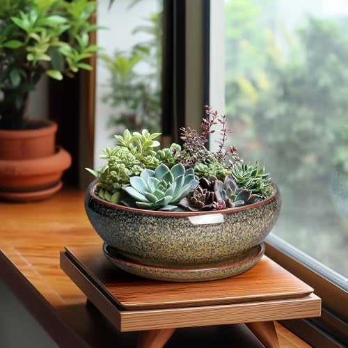 SQOWL Succulent Pots - 8 Inch Ceramic Bonsai Pots, Round Shallow Planter with Drainage Hole and Saucer, Succulent Indoor Planter, Bowl Planters Outdoor, Apartment Decor, Gifts for Women, Brown - Image 3