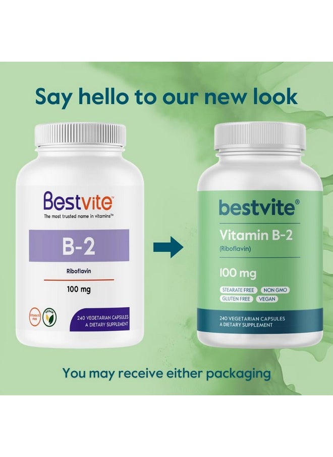 BESTVITE Vitamin B-2 100mg (240 Vegetarian Capsules) - No Stearates - No Dicalcium Phosphate - Vegan - Non GMO - Gluten Free - pzsku/Z0A179913BEA2D5A9AF23Z/45/_/1740202643/d68169bb-cd8c-4243-92ef-d54181b640f9