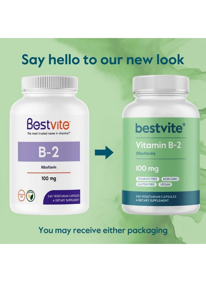 BESTVITE BESTVITE Vitamin B-2 100mg (240 Vegetarian Capsules) - No Stearates - No Dicalcium Phosphate - Vegan - Non GMO - Gluten Free  - Image 2