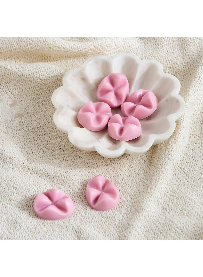 Home Box Bolsius 6-Piece Magnolia Scented Wax Melt Set - 106 gm