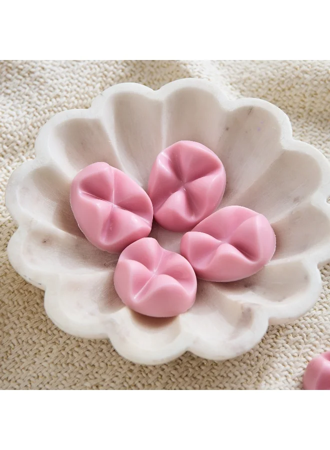 Home Box Bolsius 6-Piece Magnolia Scented Wax Melt Set - 106 gm