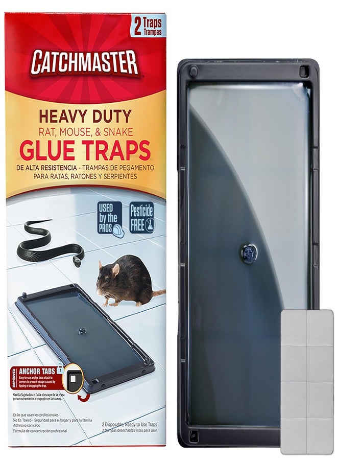 Catchmaster Heavy-Duty Rat Mouse Snake & Insect Glue Trap - 2 Pre-Baited Trays with Hercules Putty Fastener, Ready to Use Indoors. Floor Anchor Sticky Adhesive Non-Toxic - Made in The USA - Image 1