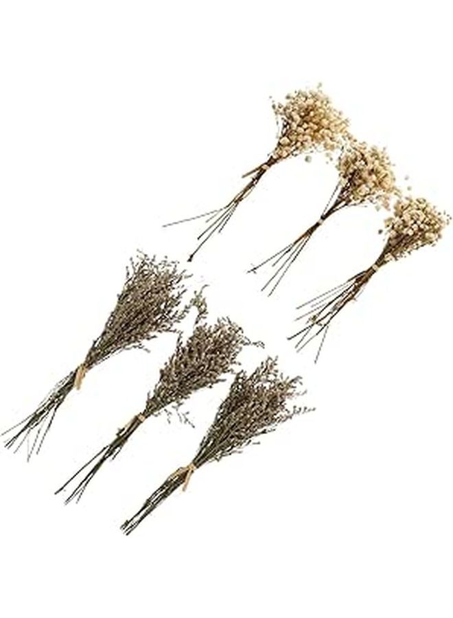 Dried Babys Breath Flower Bouquet Set 6 Pcs Natural Color Home Decor Floral Arrangements - Image 1