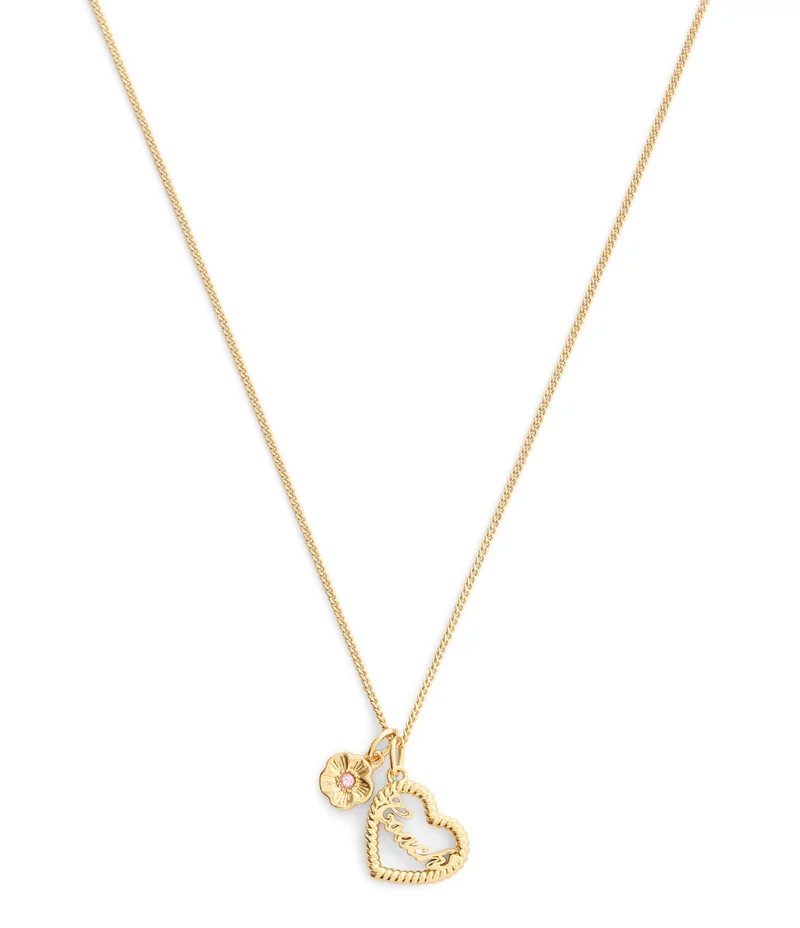 Coach Charming Charms Signature Heart Pendant Necklace