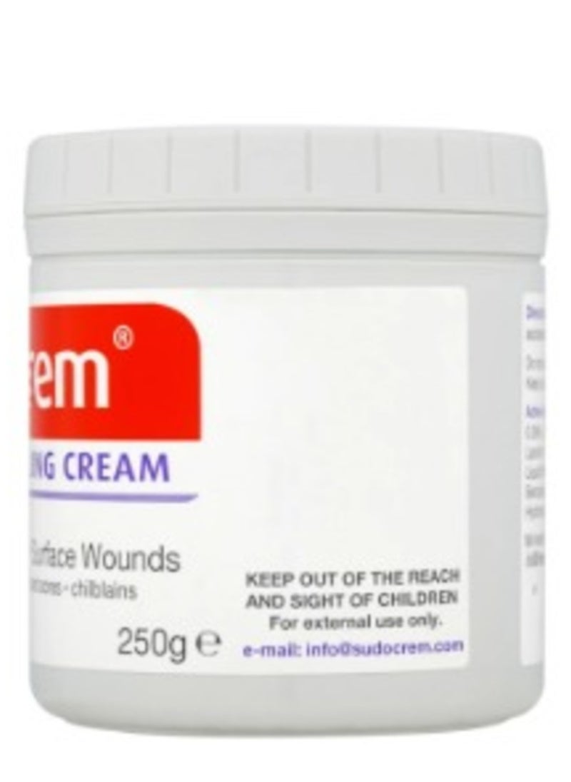 Sudocrem - Sudocrem Antiseptic Healing Cream To Protect Rash And Surface Wound - 250g - Image 1