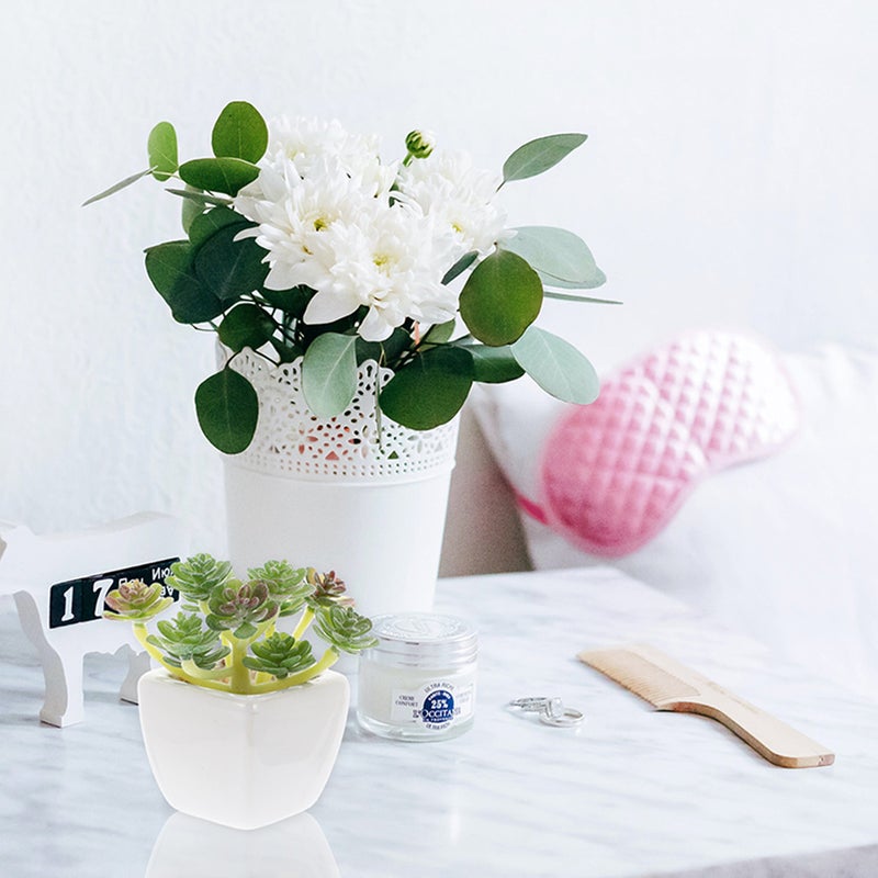 🌱 نباتات عصارية صناعية للديكور بتصميم واقعي ومتين للمساحات الداخلية - Image 3