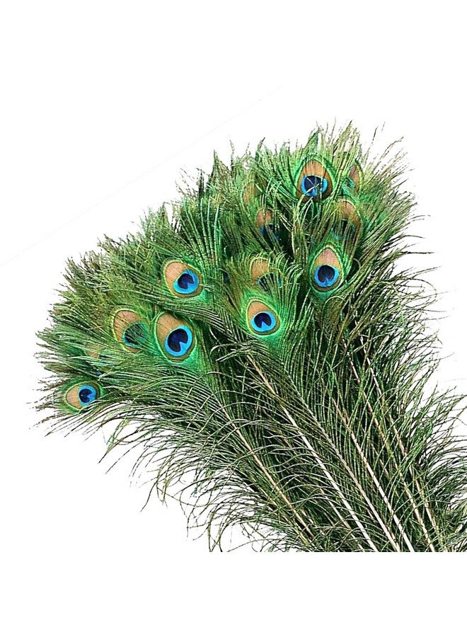MWOOT 50Pcs Peacock Feathers, Green Peacock Eye Feathers For Diy Crafts Art, Peacock Tail Feathers For Carnival Revelry Masquerade Costume Wedding Holiday Party Decoration (28-32Cm) - Image 1