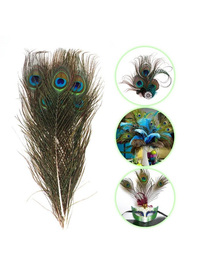 MWOOT 50Pcs Peacock Feathers, Green Peacock Eye Feathers For Diy Crafts Art, Peacock Tail Feathers For Carnival Revelry Masquerade Costume Wedding Holiday Party Decoration (28-32Cm) - Image 2