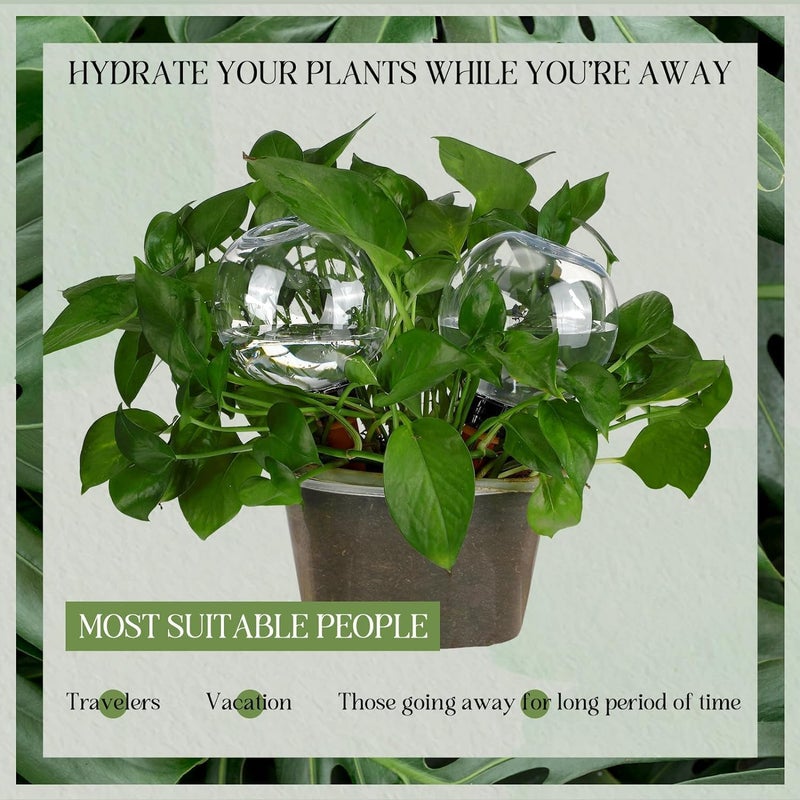 SWIUKPHE Watering Globes Automatic Plastic Self Watering Planter Insert Waterer Watering Bulbs for Indoor Plants Drip Irigation Plant Watering Devices with Slow Release Control for Garden 500ML 4 Pcs - Image 5