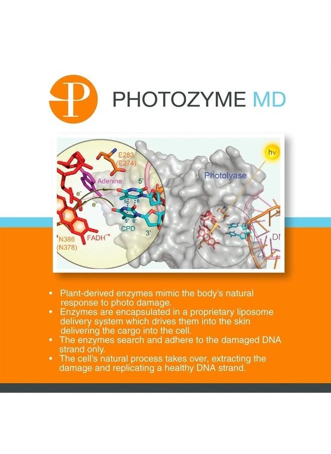 Photozyme - PHOTOZYME DNA Youth Recovery Anti Aging Facial Serum | DNA Repair Enzymes | Beauty Skincare Treatment for Fine Lines, Wrinkles, Acne Scars | UV Dark Spot Corrector | 1.7 Fl Oz - Image 1