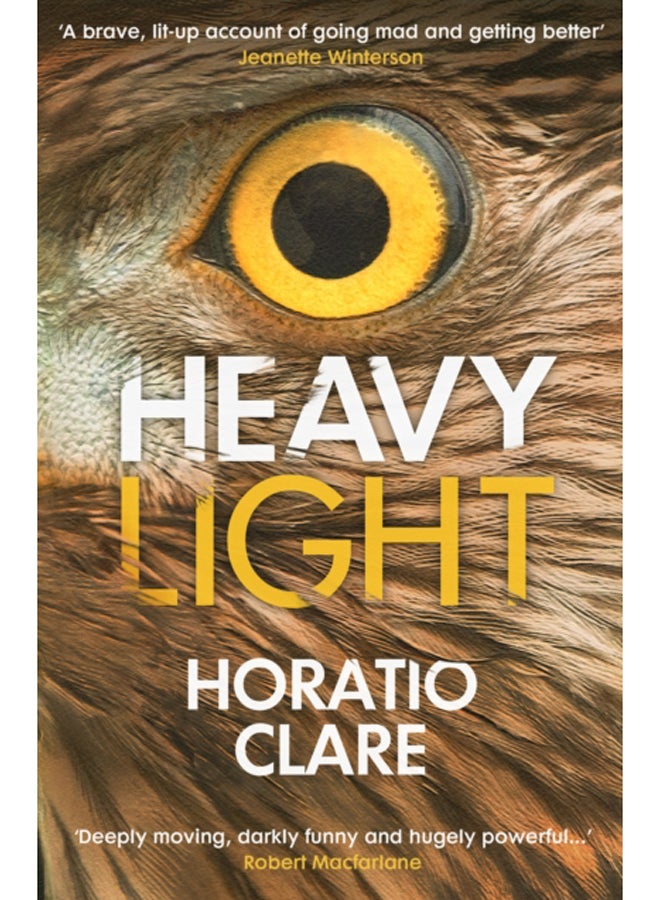 Heavy Light : A Journey Through Madness, Mania and Healing 