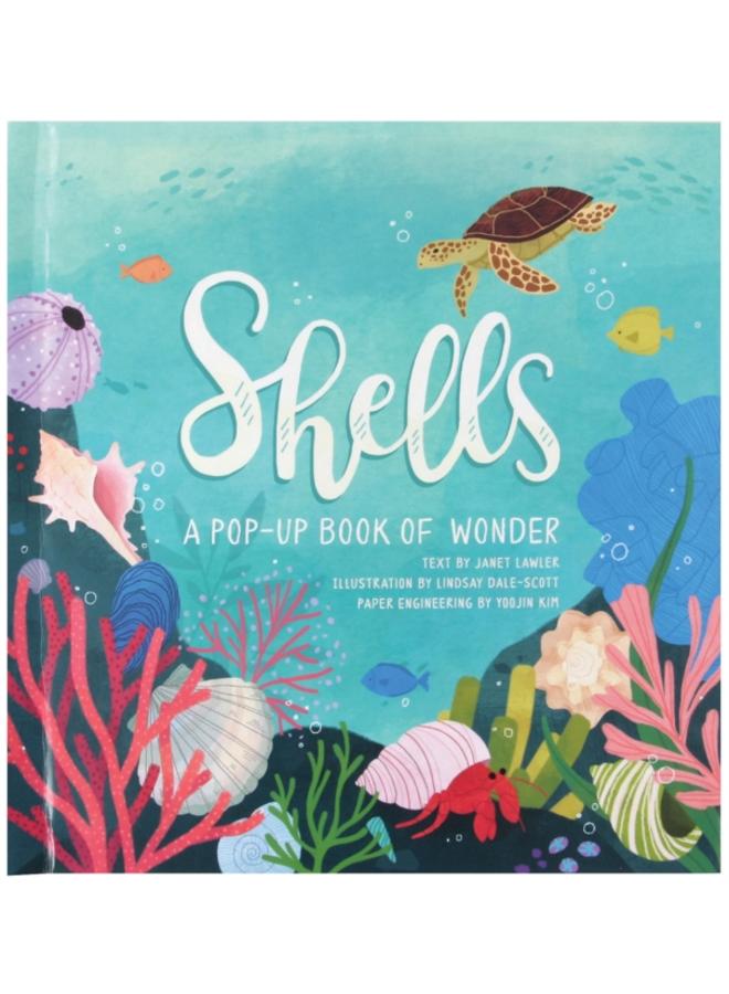 Shells : A Pop-Up Book of Wonder 