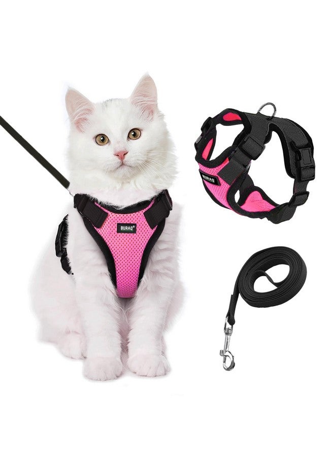 BURAQ Cat Harness Wth Leash For Walking|Escape Proof|Air Mesh Fabric|Soft Vest Harness|Easy Control|Adjustable & Durable|For Medium & Large Cats, Pack of 1 - Image 1