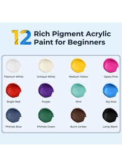 Ohuhu Ohuhu Acrylic Paint Set 12 Vibrant Colors 36Ml 6 Brushes And 3 Paint Canvases For Beginners With Tutorial For Painting Art Supplies For Ceramic Wood Fabric Model Rock Metal - Multicolor  - Image 3