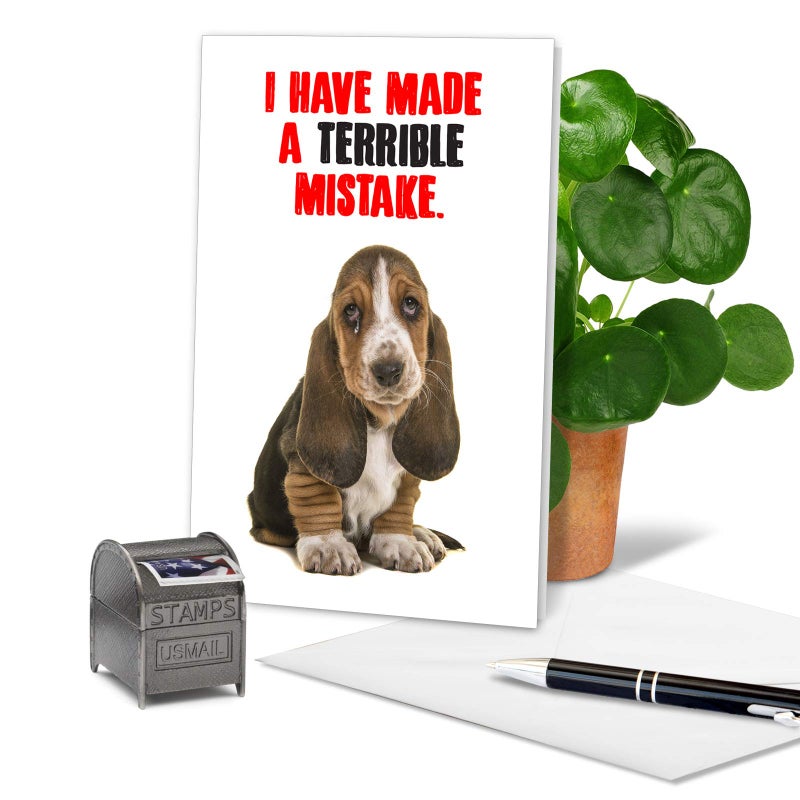 NobleWorks - I'm Sorry Greeting Card with Envelope - Funny Forgive Me Notecard - Terrible Mistake C7220SRG - Image 3